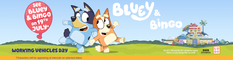 Bluey Working Vehicles Day (1)